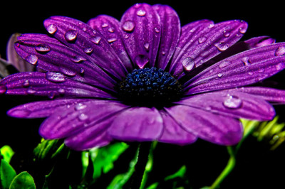  Как фиолетовый цвет влияет на жизнь