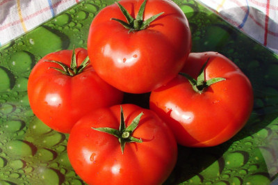 Любопытные факты о помидорах