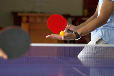 Интересные факты о пинг-понге