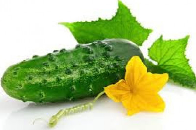 Любопытные факты про огурцы