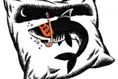  У акул бессонница?