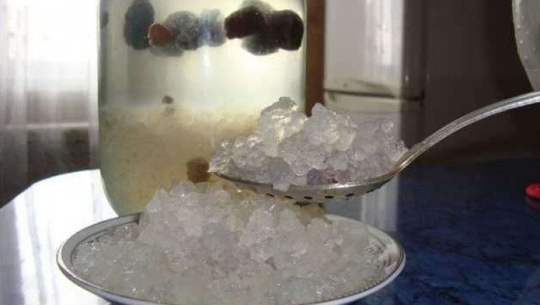 Чем так уникален морской рис?
