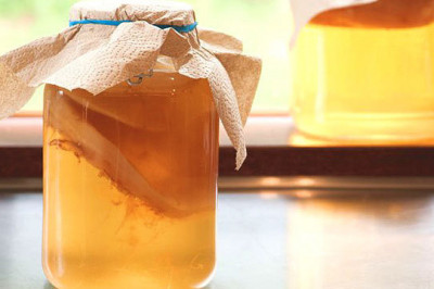 Что такое чайный гриб?