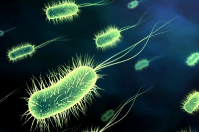 Бактерия,которая способна убить все человечество...