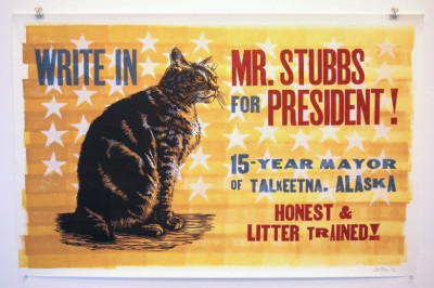 Как мэром года  стал кот?!