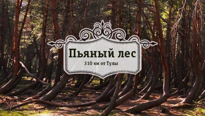 Аномальная зона в Шиловском районе Рязанской области