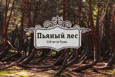 Аномальная зона в Шиловском районе Рязанской области