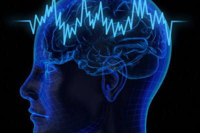 8 любопытных сведений о головном мозге человека