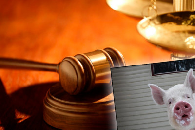 Как судили животных за тяжкие преступления...