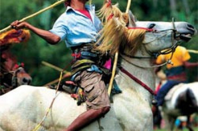 Что такое пасола?