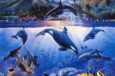 Обитатели-рекордсмены морей и океанов