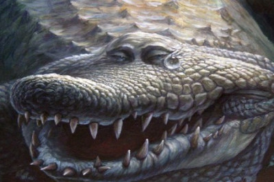 Топ любопытных фактов о разных представителях животного мира