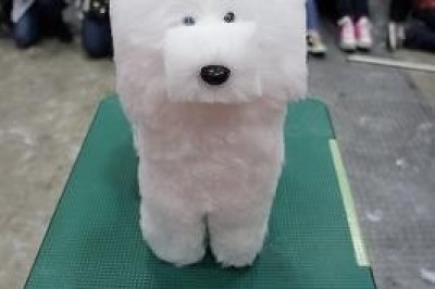 Новый тренд – собаки в кубическом стиле