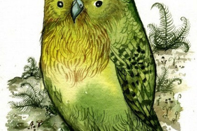 Что за птица такая- какапо?