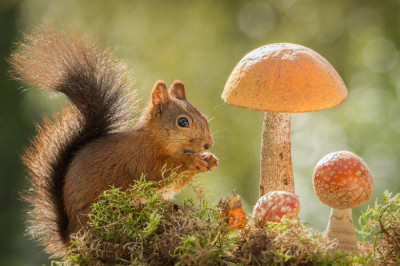 Познавательно про белок