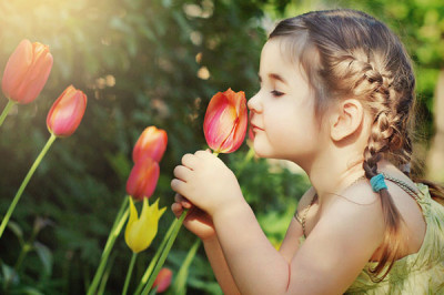 Интересные факты про запахи  