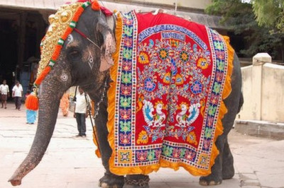 Индийские слоны уйдут на отдых