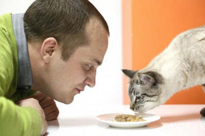 Интересные факты о разных профессиях