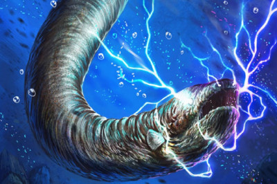 На сколько мощным электричеством обладает электрический угорь?