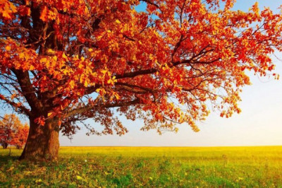 Факты об осени