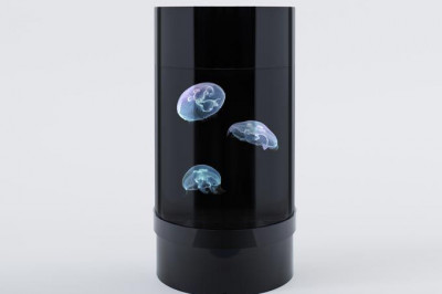 Молчаливые домашние животные