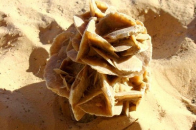 «Роза пустыни»