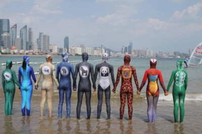 Купальники фейскини