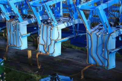 Выращенная мебель