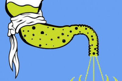 Чего не стоит делать после сытного обеда?