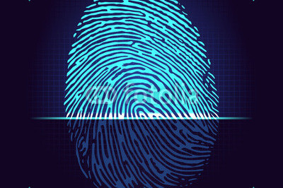 Правда ли,что отпечатки пальцев детей исчезают быстрей,чем взрослых?