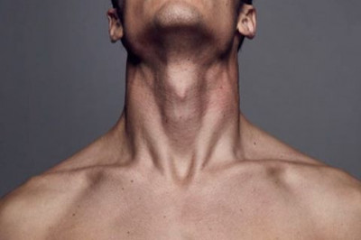 В чем предназначение кадыка?