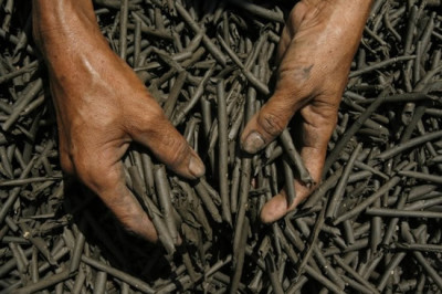 Где едят землю?