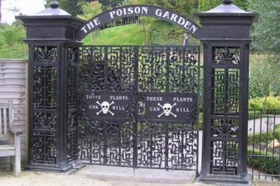 Опасный сад