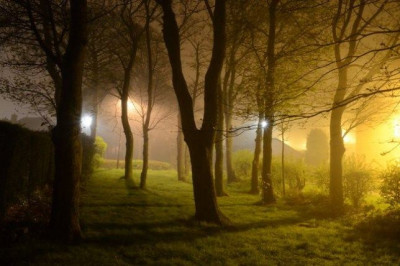 Кому вредит ночное освещение?