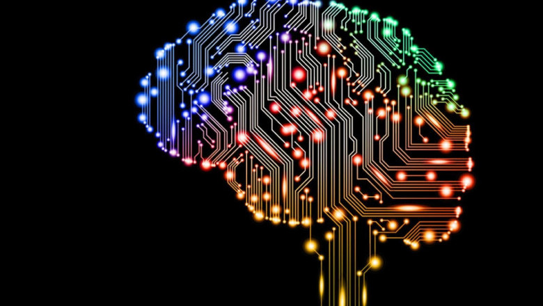 Как наследственность и окружающая среда зависят на интеллект человека?