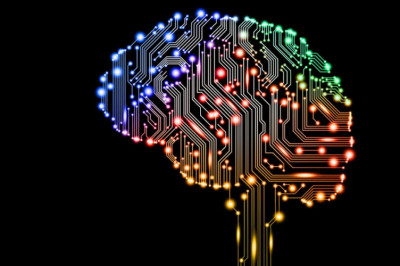 Как наследственность и окружающая среда зависят на интеллект человека?