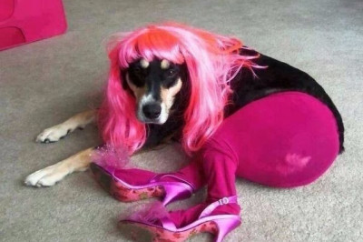 Не оставляйте животных с детьми