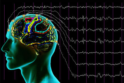 Желе имитирует мозговую деятельность? 
