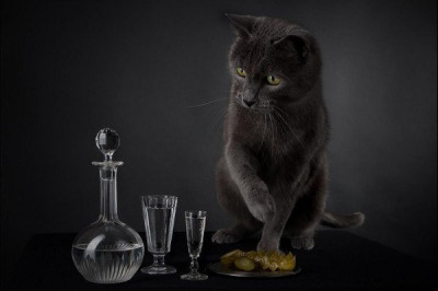 Любопытные факты о водке