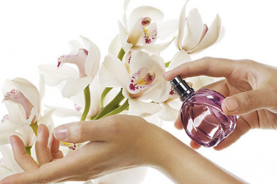 Любопытные факты о парфюмерии