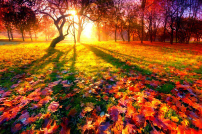 Ее величество Осень