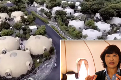 Отель, в котором не страшно даже землетрясение