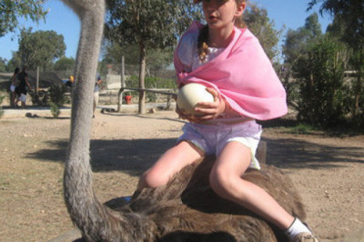 Веселые способы передвижения в путешествиях 