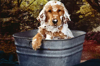 Как правильно нужно мыться?