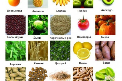 Что такое пребиотики?