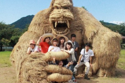 Соломенный фестиваль в Японии