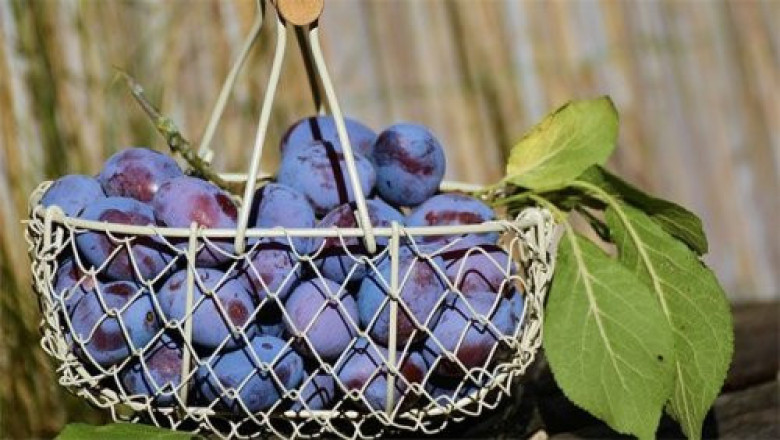 Продукты, которые способны убить человека