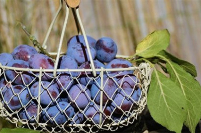 Продукты, которые способны убить человека