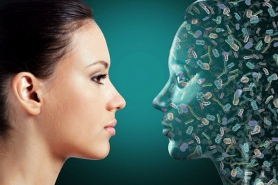  Каков процент содержания микроорганизмов в человеческом теле?