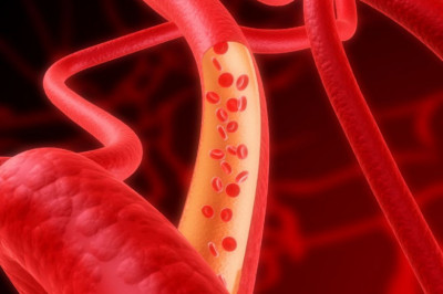 Открытие нового фактора высокой продолжительности жизни